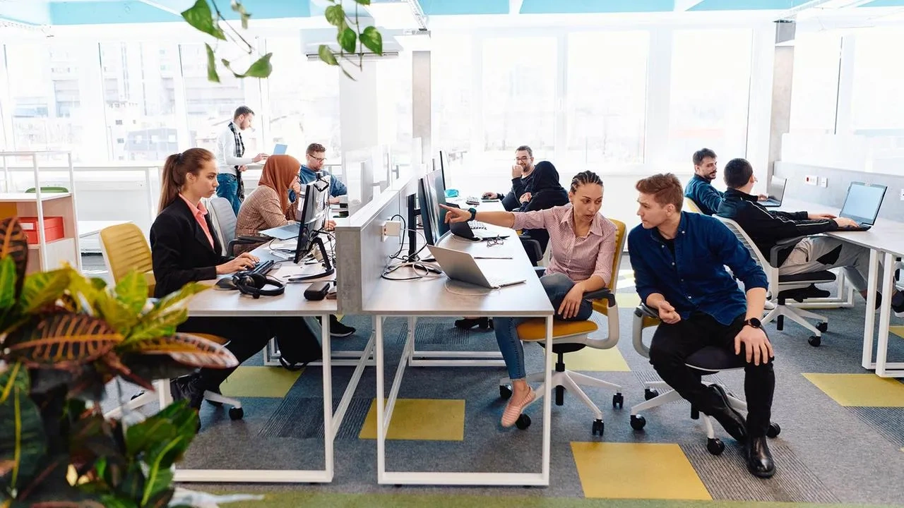 Custom Software Development